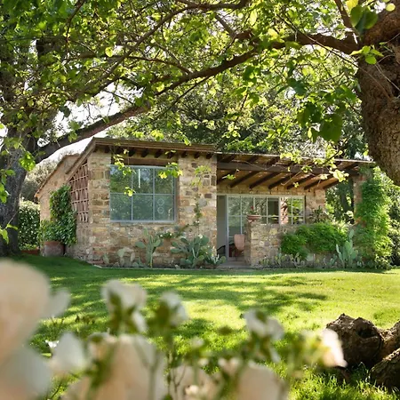 Il Prado Private Pool, Nature, Villa Greve in Chianti