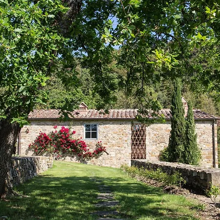Villa Il Prado Private Pool, Nature, Greve in Chianti