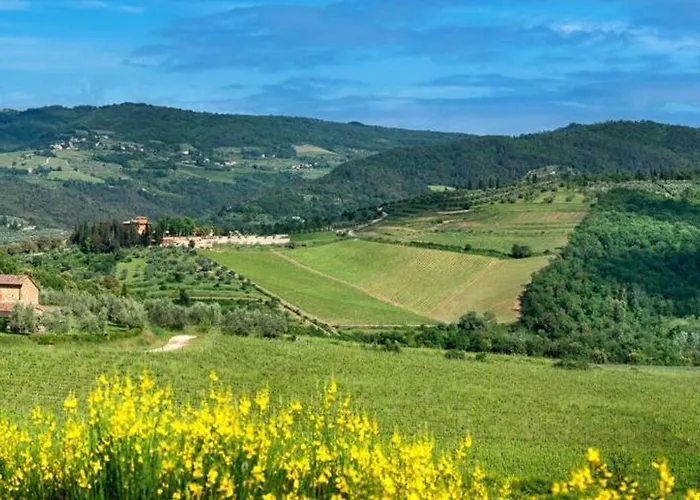 Il Prado Private Pool, Nature, Villa Greve in Chianti