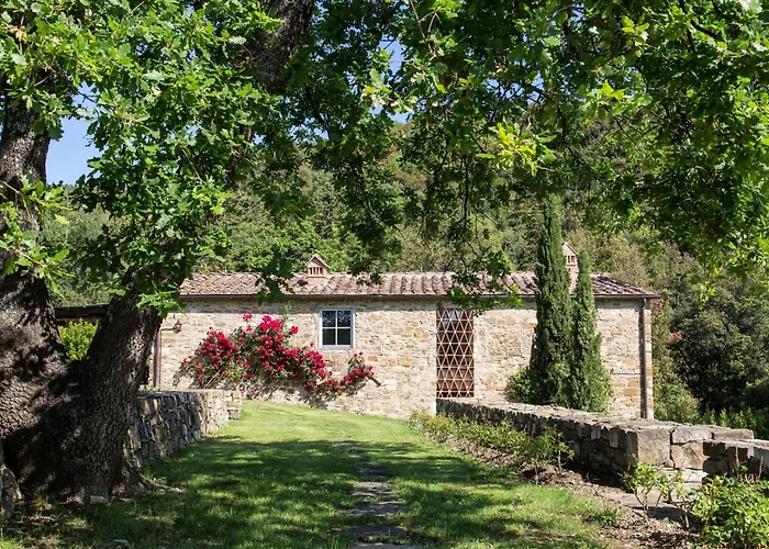 Villa Il Prado Private Pool, Nature, Greve in Chianti
